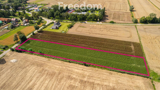Działka siedliskowa 7529m2 - atrakcyjna cena