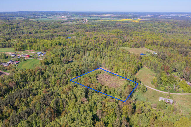 Działka rolna Skrzeszewo Żukowskie gm. Żukowo, Leśna