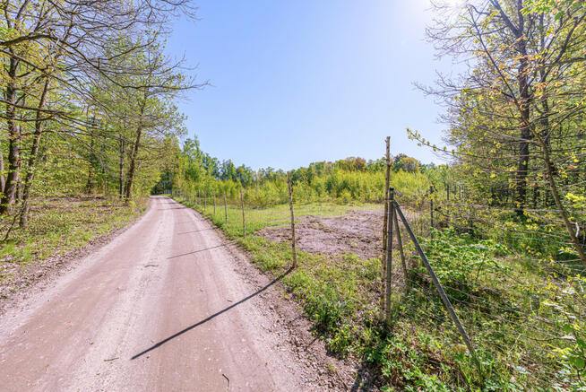 Działka rolna Skrzeszewo Żukowskie gm. Żukowo, Leśna