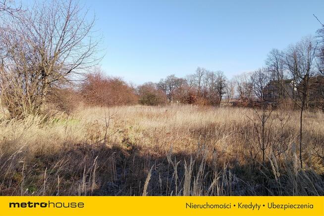 Niepowtarzalny kompleks dworsko-folwarczny 2 ha