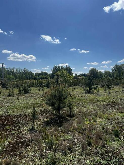 Na sprzedaż działka budowlana 1254 m² – Krzyżówka