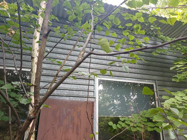 Hala stalowa używana - sprzedam