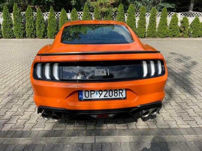 Mustang Ford sprzedam