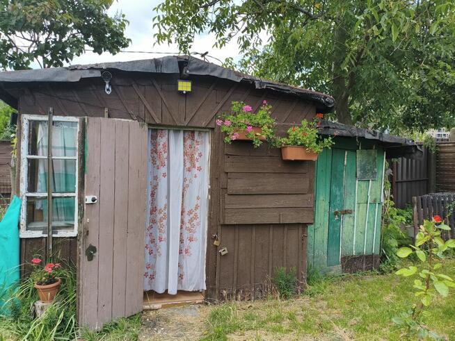 Działka ROD Jedność w Bydgoszczy!!!