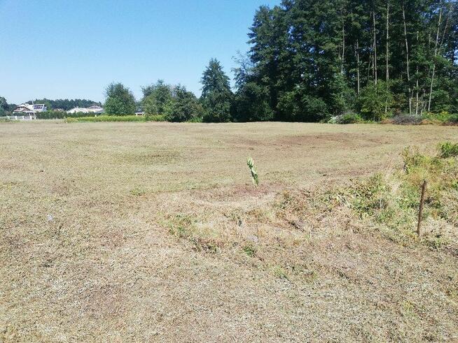 Sprzedam działkę budowlaną 15ar