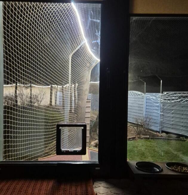 siatka na balkon dla kota, gołębie