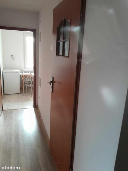 Park na wyciągnięcie ręki !