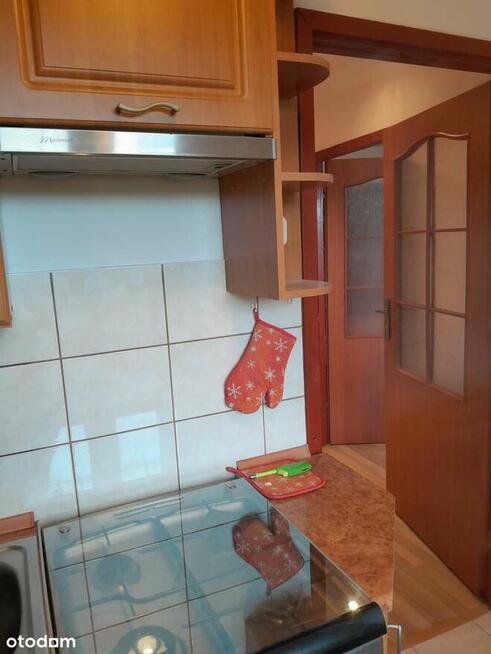 Park na wyciągnięcie ręki !