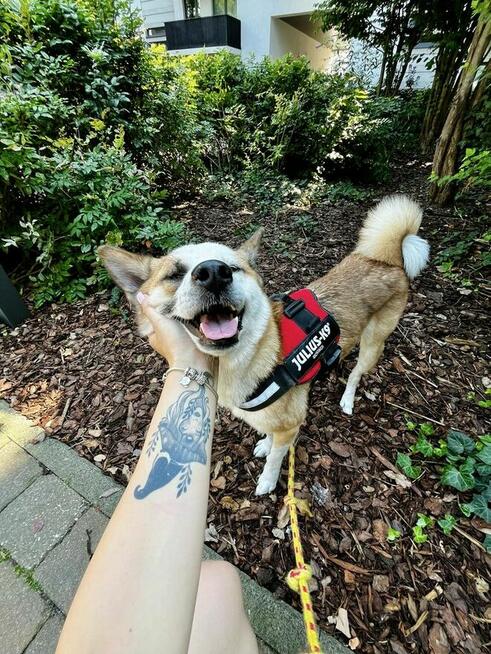 Piękna Luna PILNIE szuka kochającej rodziny