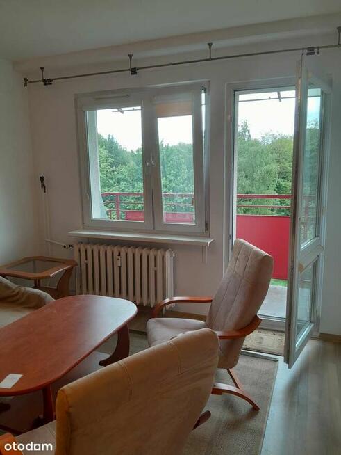 Park na wyciągnięcie ręki !