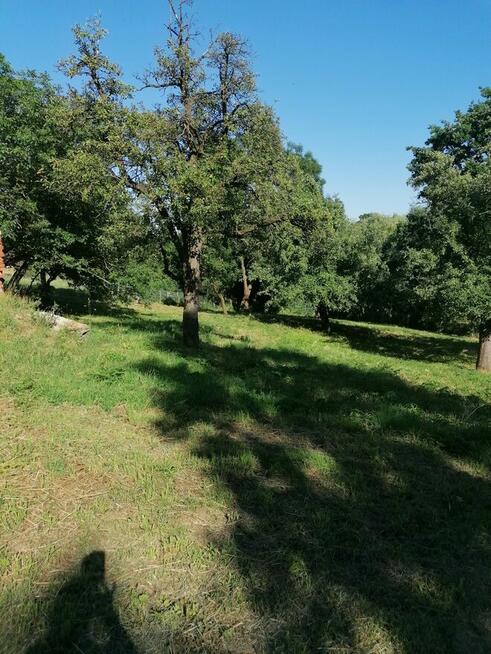 Sprzedam działki rolno budowlane