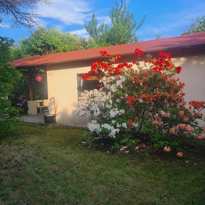 Sprzedam ogródek dzialkowy