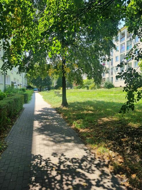 Mieszkanie 3-pok.1 piętro, zosiedle Młodych