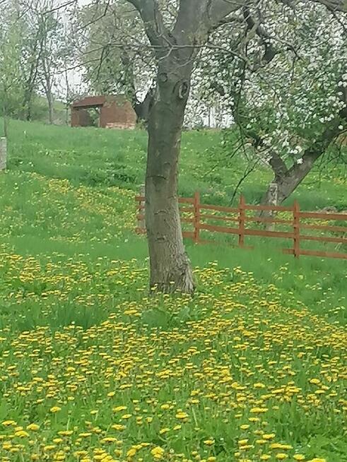 Sprzedam działki rolno budowlane
