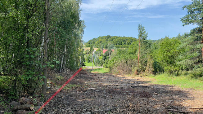 Działka Jurze Krakowsko-Częstochowskiej Piaseczno Kroczyce