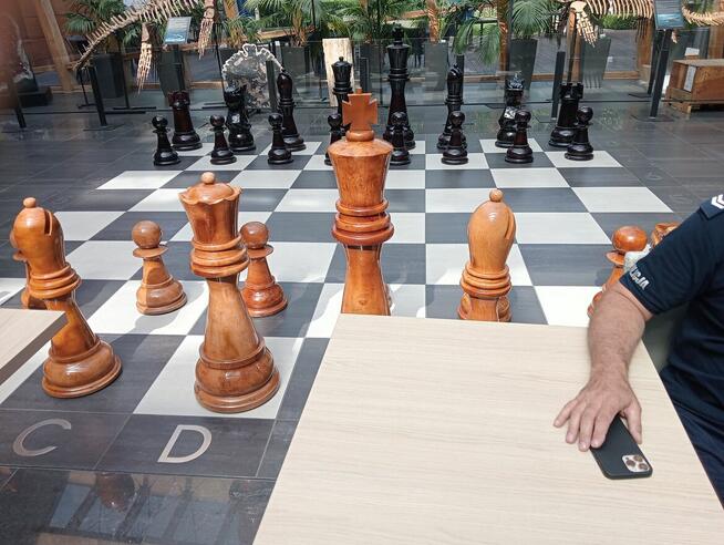 Poznam panią, jestem z Wrocławia km nie grają reguły