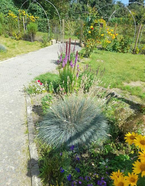 Działka ROD Hallera Gdańsk