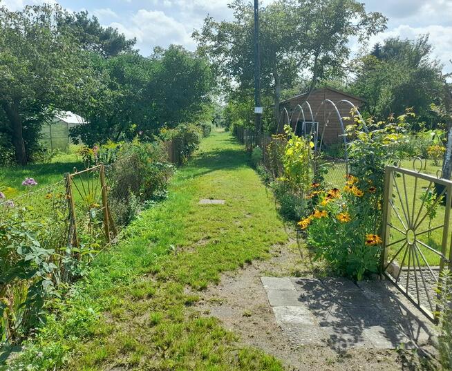 Działka ROD Hallera Gdańsk