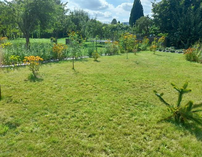 Działka ROD Hallera Gdańsk