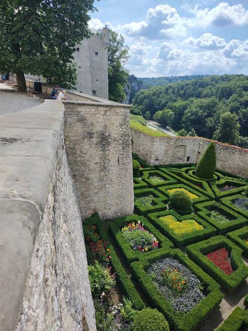 PrzystojnyMężczyzna