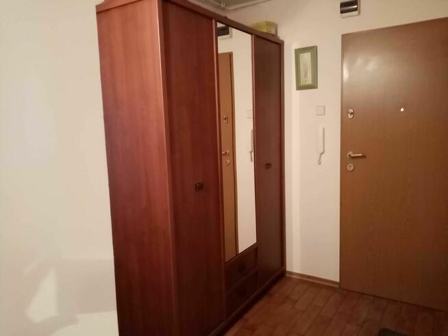 dwupokojowe mieszkanie na wynajem