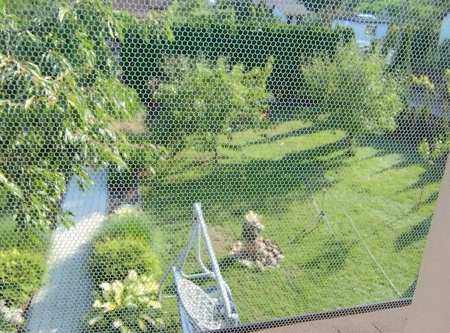 Sprzedam działkę rekreacyjną