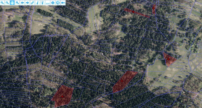 Działki rolne, leśne i do zalesienia - duży wybór!