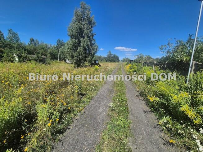 Działka Szarlejka gm. Wręczyca Wielka