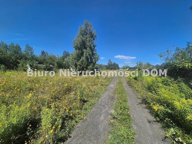 Działka Szarlejka gm. Wręczyca Wielka