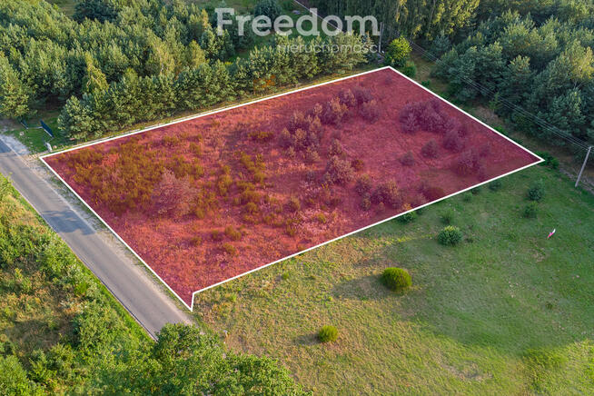 Grzegorzewice-Żabia Wola-piękna działka budowlana