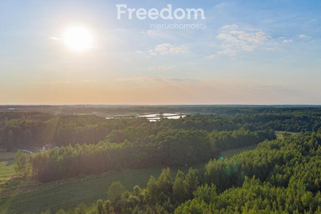 Grzegorzewice-Żabia Wola-piękna działka budowlana