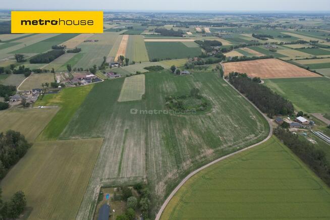 Na sprzedaż 9 ha ziemi rolnej Lubików, Sanniki.