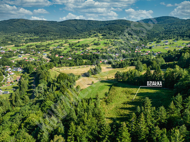 Działka budowlana przy lesie - atrakcyjna cena!