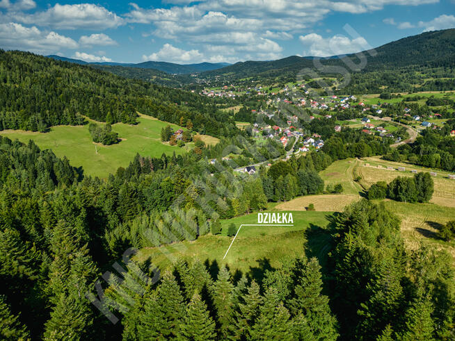 Działka budowlana przy lesie - atrakcyjna cena!