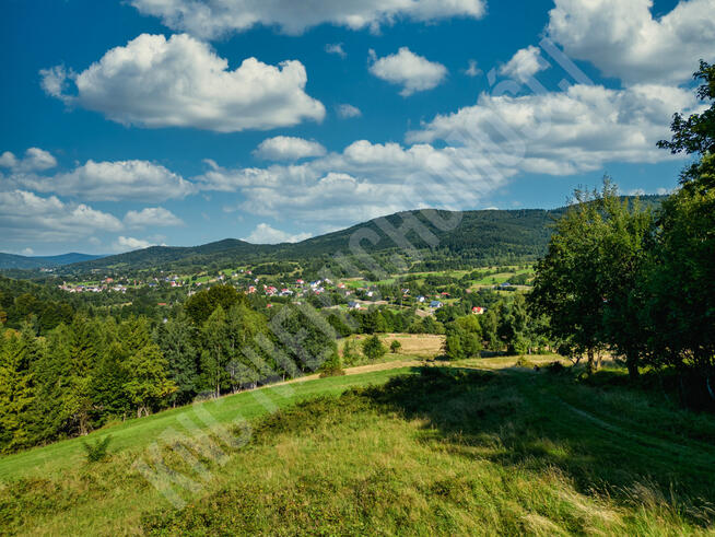 Działka budowlana przy lesie - atrakcyjna cena!