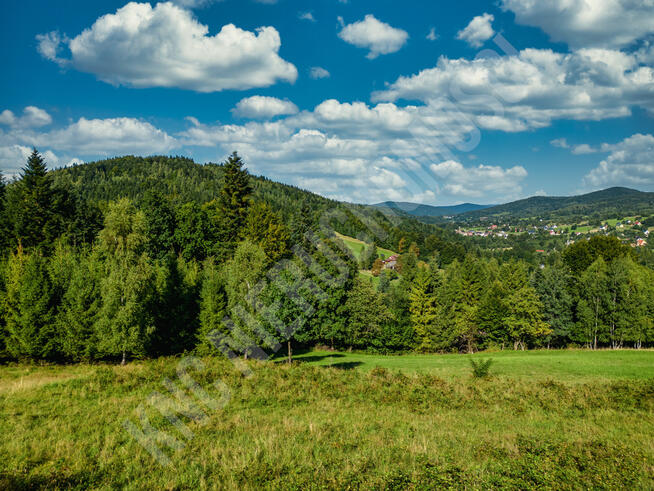 Działka budowlana przy lesie - atrakcyjna cena!
