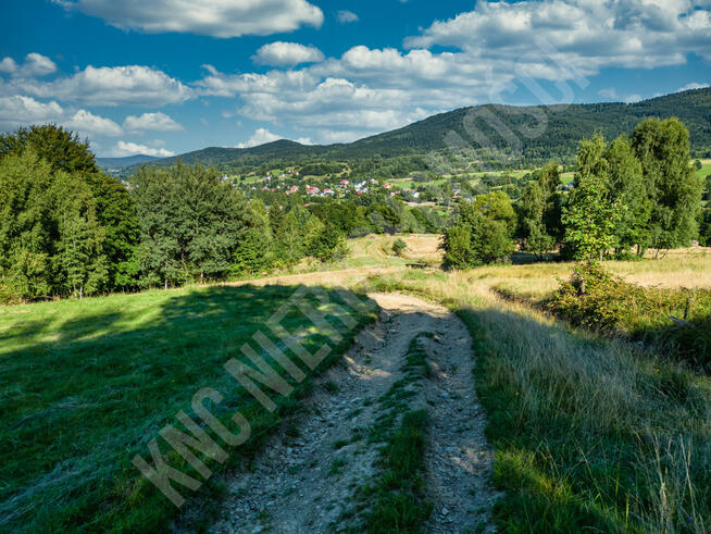 Działka budowlana przy lesie - atrakcyjna cena!