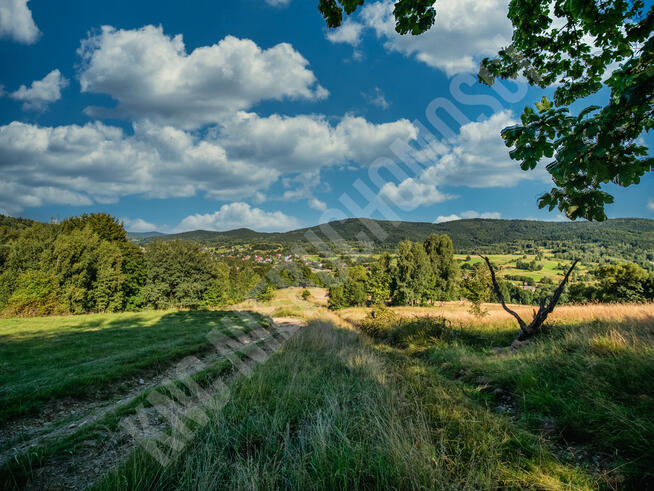 Działka budowlana przy lesie - atrakcyjna cena!