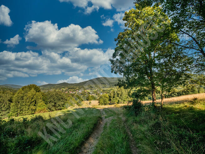 Działka budowlana przy lesie - atrakcyjna cena!