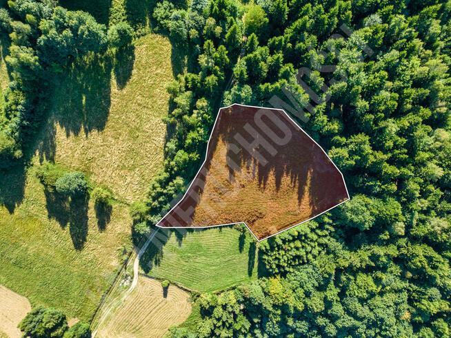 Działka budowlana przy lesie - atrakcyjna cena!