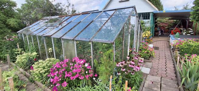 Sprzedam działkę ROD