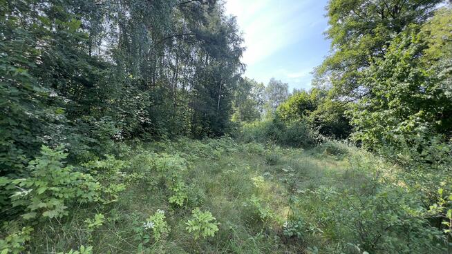 Działka Jurze Krakowsko-Częstochowskiej Piaseczno Kroczyce