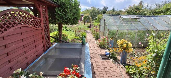 Sprzedam działkę ROD