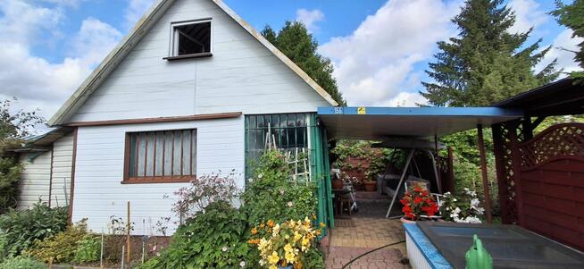 Sprzedam działkę ROD