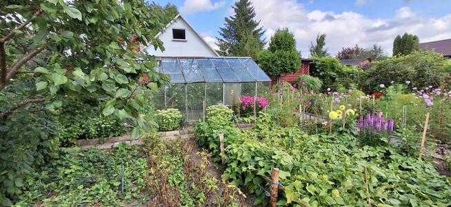 Sprzedam działkę ROD