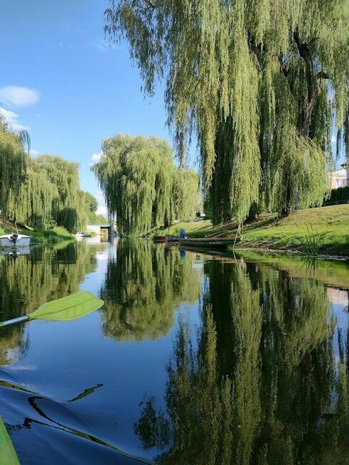 PrzystojnyMężczyzna