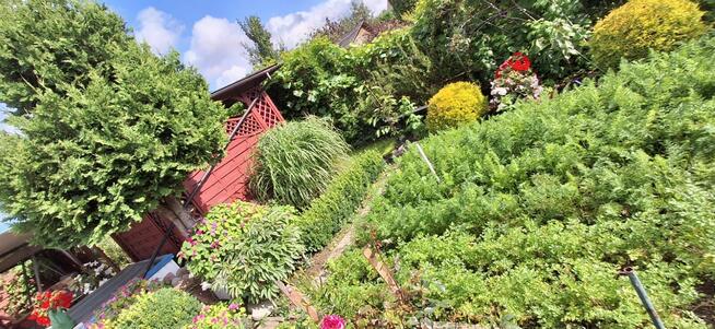 Sprzedam działkę ROD