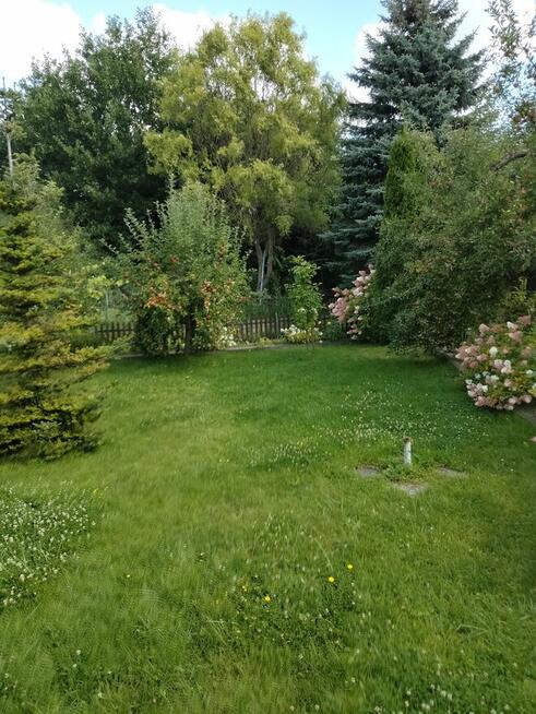 Sprzedam dzialke. Rodzinne. Ogrody działkowe Legnica