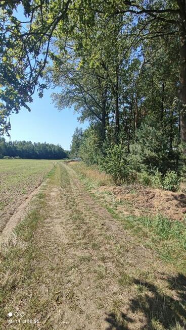 Sprzedam piękną leśną działkę budowlaną