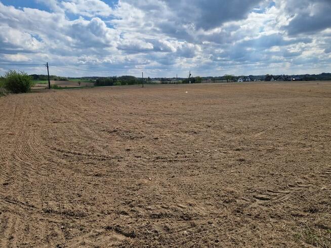 SPRZEDAM TRZY DZIAŁKI W SPOKOJNEJ OKOLICY